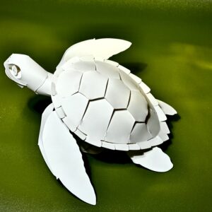 1-31.綠蠵龜 Chelonia Mydas