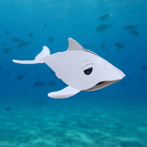 2-19.白海豚 Sousa chinensis