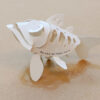 台灣櫻花鉤吻鮭 Oncorhynchus masou formosanus