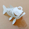 台灣櫻花鉤吻鮭 Oncorhynchus masou formosanus：圖片 3
