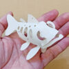 台灣櫻花鉤吻鮭 Oncorhynchus masou formosanus：圖片 8