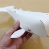 抹香鯨 Sperm whale(大鯨)：圖片 6