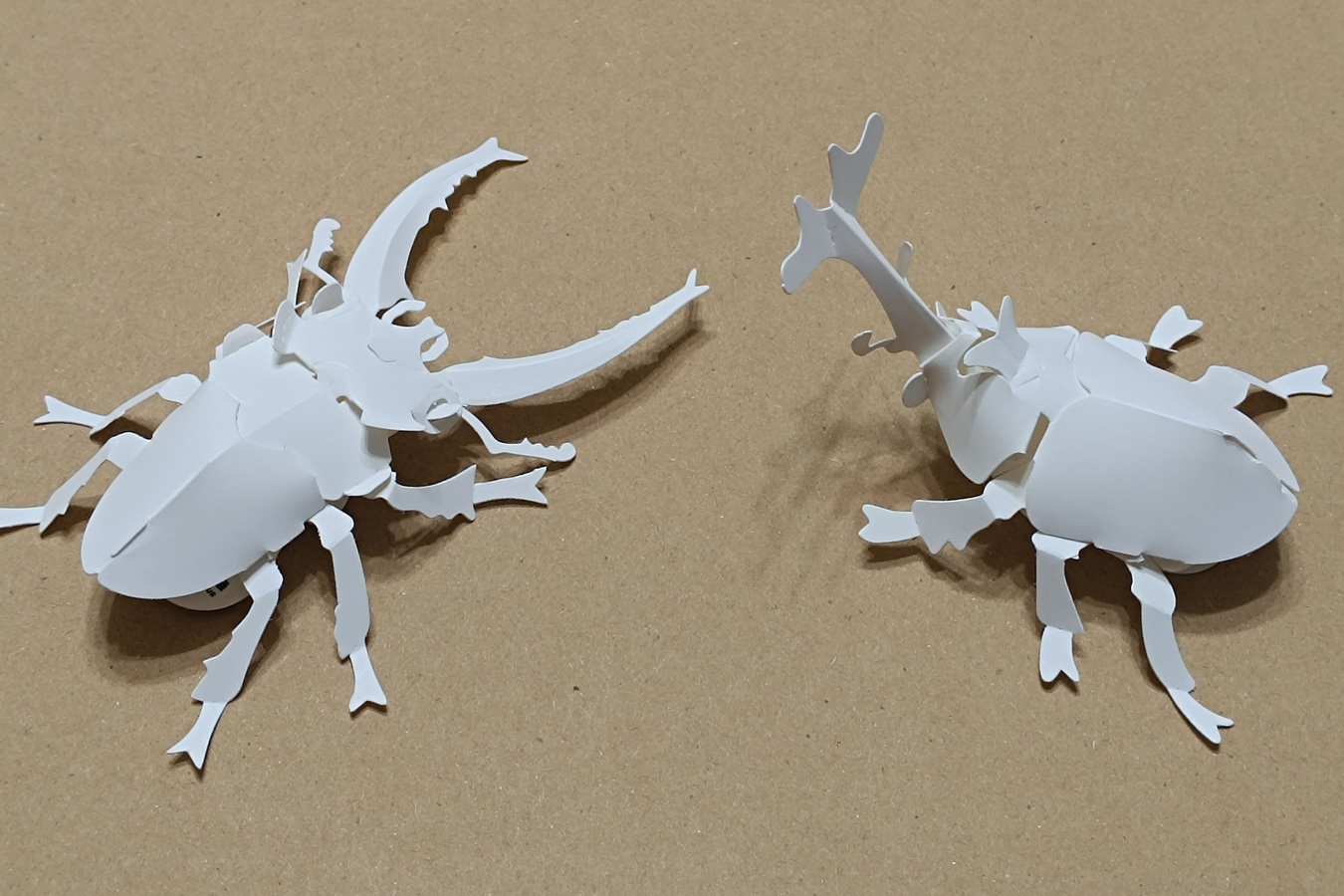1-03.獨角仙,鍬形蟲 Allomyrina dichotoma, Lucanus formosanus – 【扶風文化】