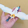 1-24.黑面琵鷺 Platalea minor：圖片 4