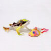 2-23.青蛙組合 Rhacophorus combination：圖片 5