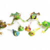 2-23.青蛙組合 Rhacophorus combination：圖片 2