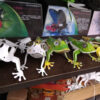 2-23.青蛙組合 Rhacophorus combination