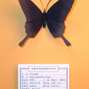 作品欣賞_詩情系列_昆蟲篇：圖片 9